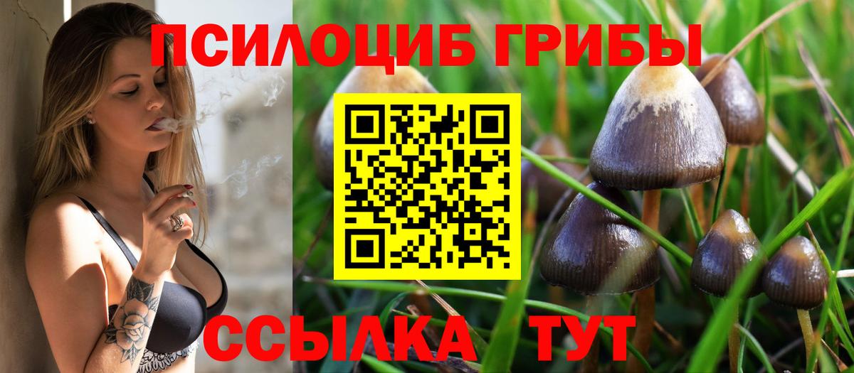 Ростов Великий  Псилоцибиновые грибы мухоморы  Вход с VPN 